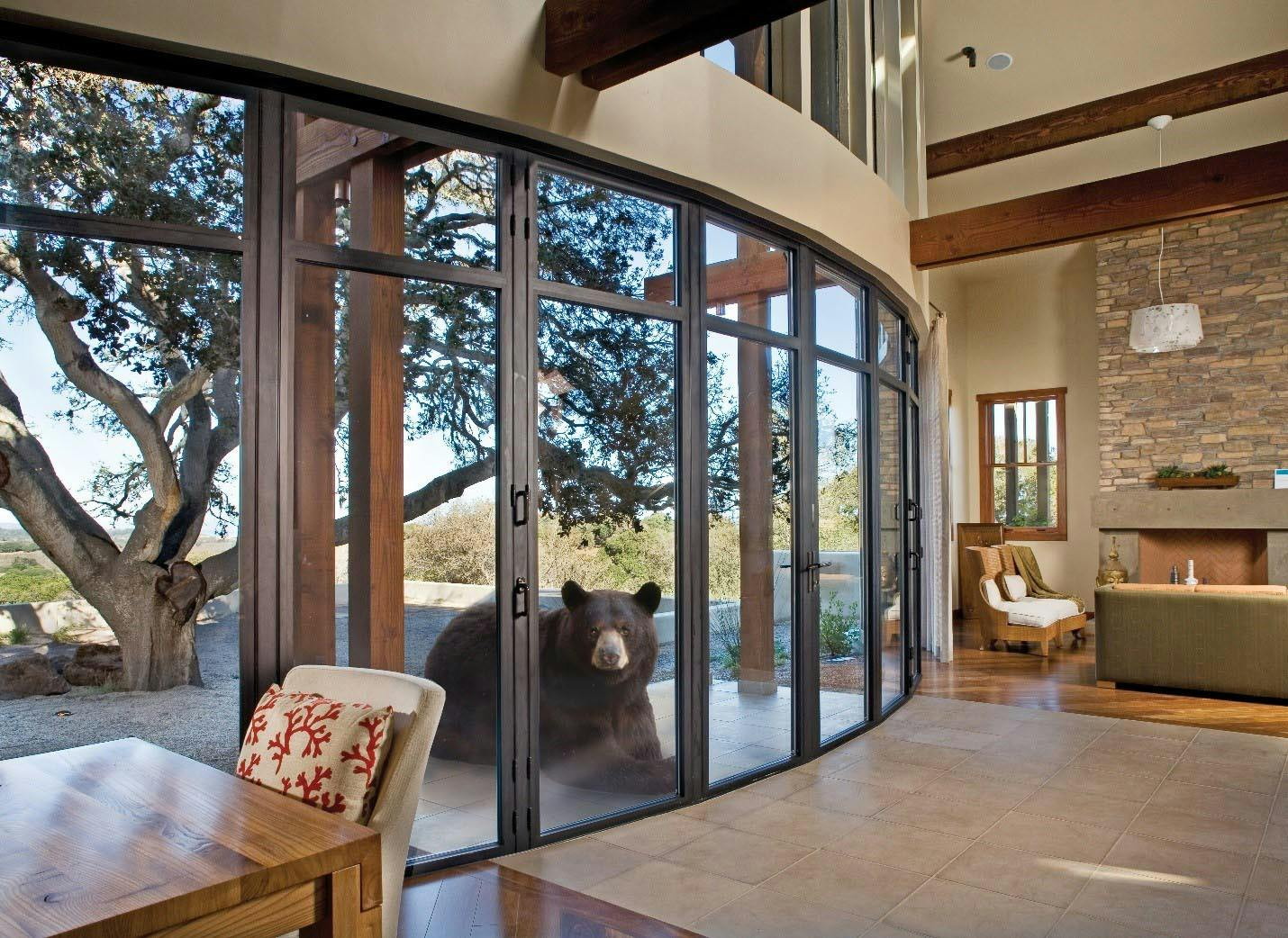features-of-bear-resistant-folding-glass-wall