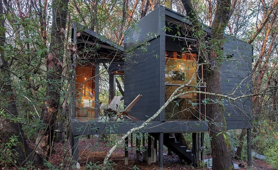 The Forest House is an award-winning modern cabin in Mendocino County, CA. 