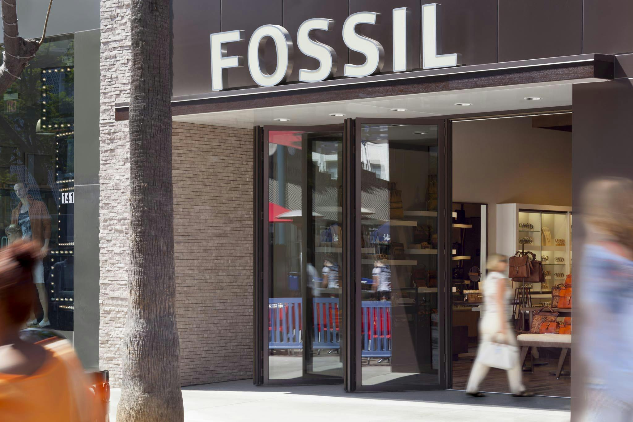 Fossil Photo Gallery | NanaWall